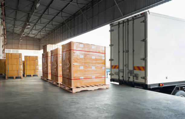 istockphoto-1412796840-612x612 istockphoto-1412796840-612x612